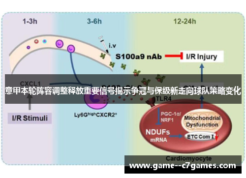 意甲本轮阵容调整释放重要信号揭示争冠与保级新走向球队策略变化