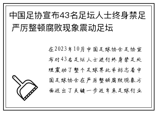 中国足协宣布43名足坛人士终身禁足 严厉整顿腐败现象震动足坛 中国足协宣布43名足坛人士终身禁足 严厉整顿腐败现象震动足坛